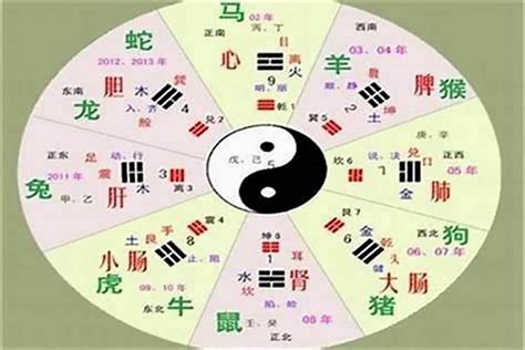 星 五行|“星”字到底五行属什么？ 查询有的说是火，有的说是金，请说清楚。